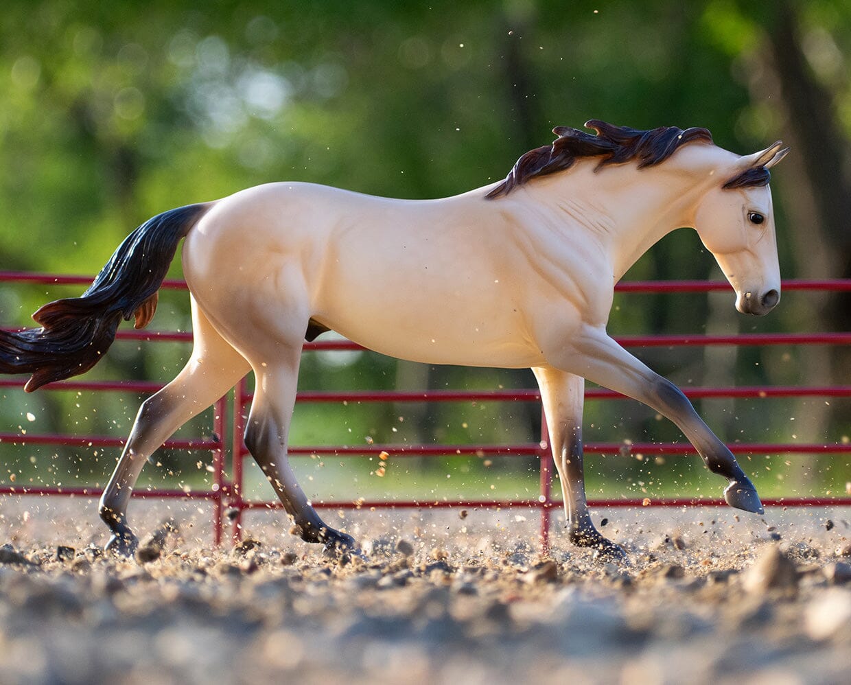 Cash | Quarter Horse