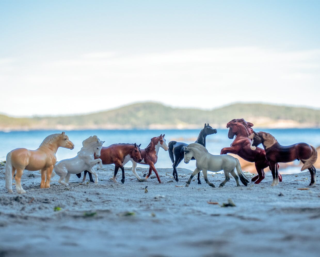 Deluxe Horse Collection