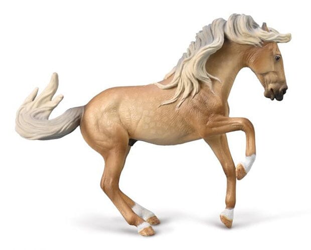 Lusitano Stallion - Sooty Palomino