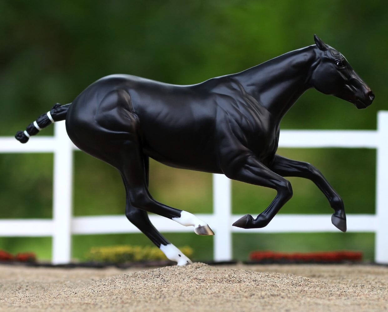 Manaos | Polo Pony