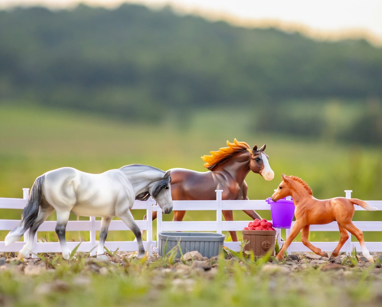 Playful Pony Family