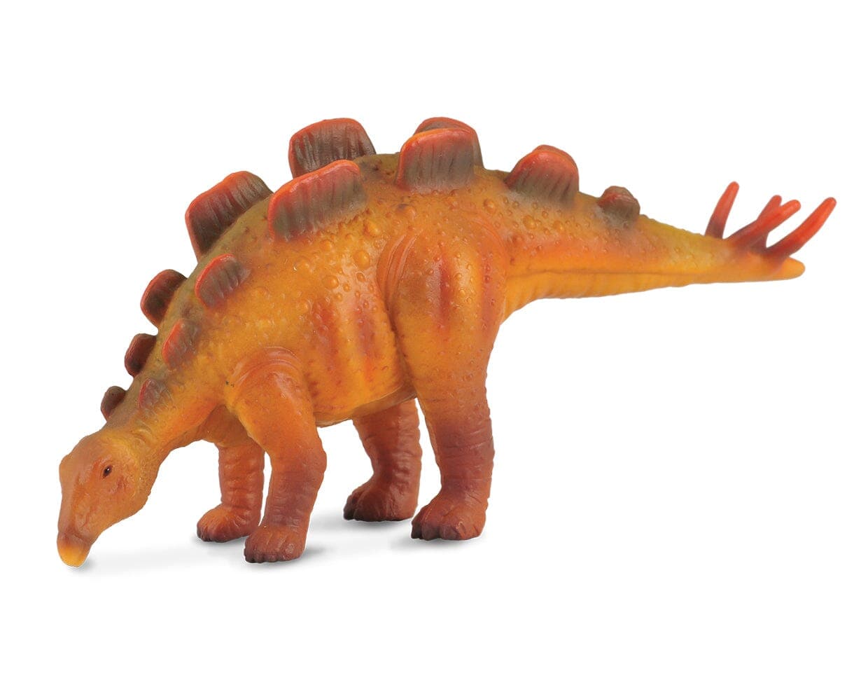 Wuerhosaurus